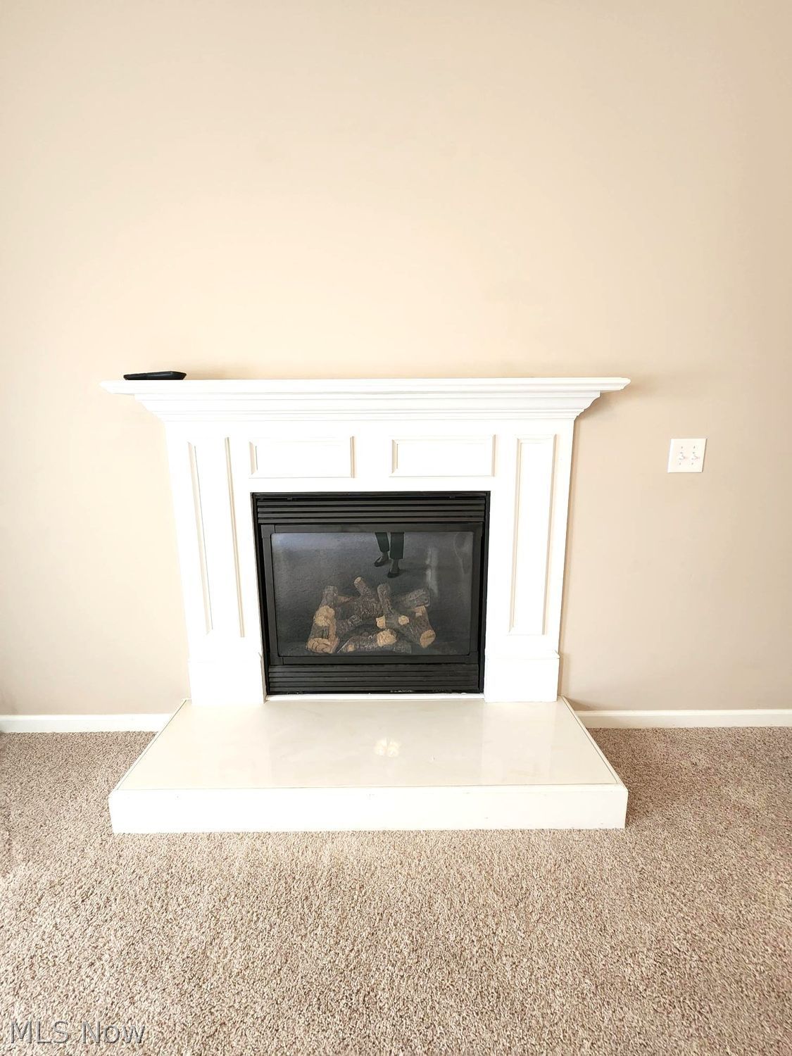 139 Richmond Court Elyria OH 44035