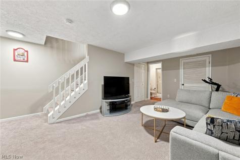 841 Overlook Ridge Drive Cleveland OH 44109