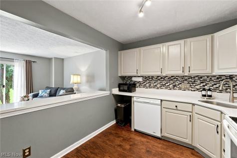 841 Overlook Ridge Drive Cleveland OH 44109