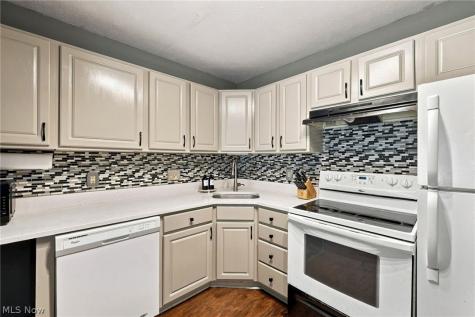 841 Overlook Ridge Drive Cleveland OH 44109