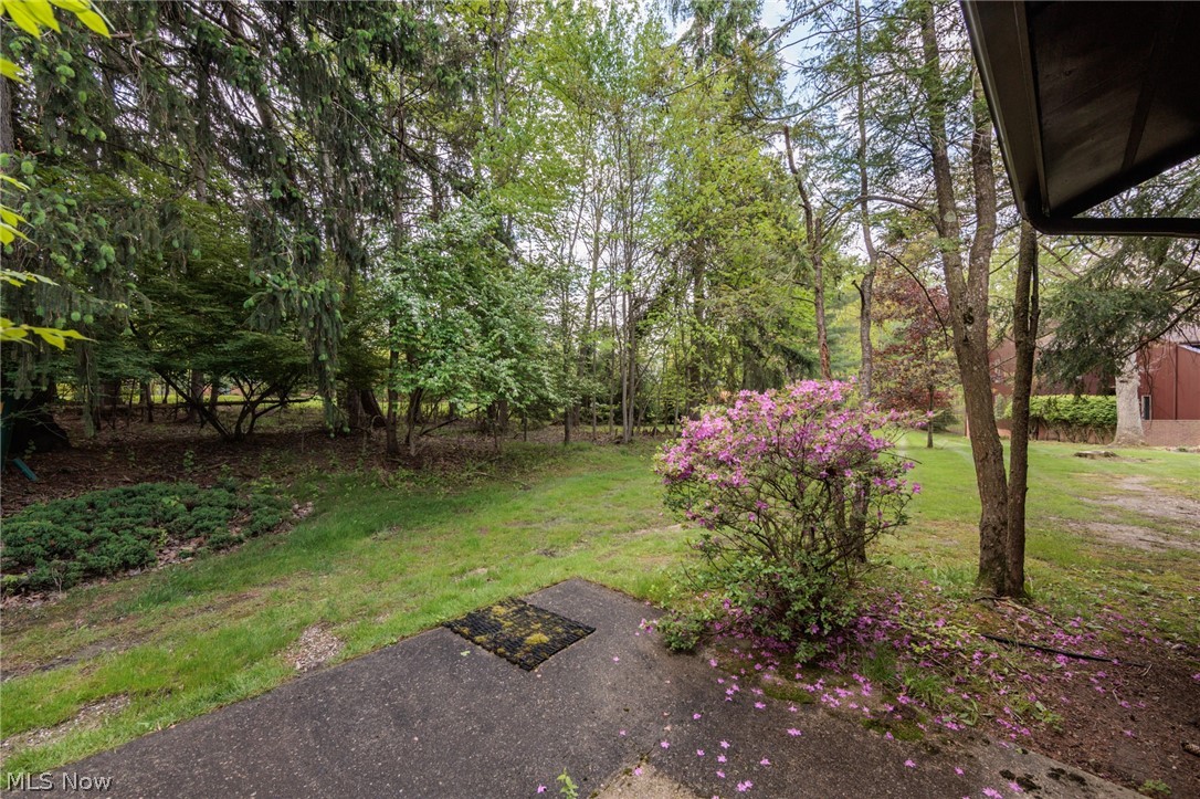 928 Trimble Place Sagamore Hills OH 44067