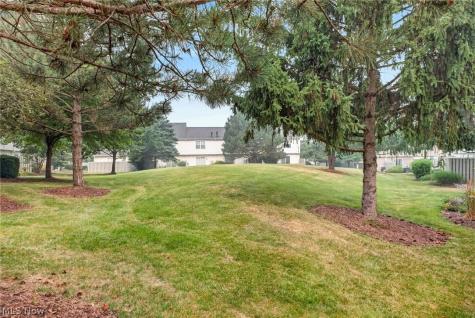 4228 River Ridge Drive Cleveland OH 44109