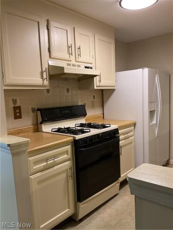 3851 Lake Run Boulevard Stow OH 44224