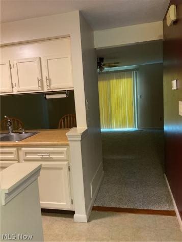 3851 Lake Run Boulevard Stow OH 44224