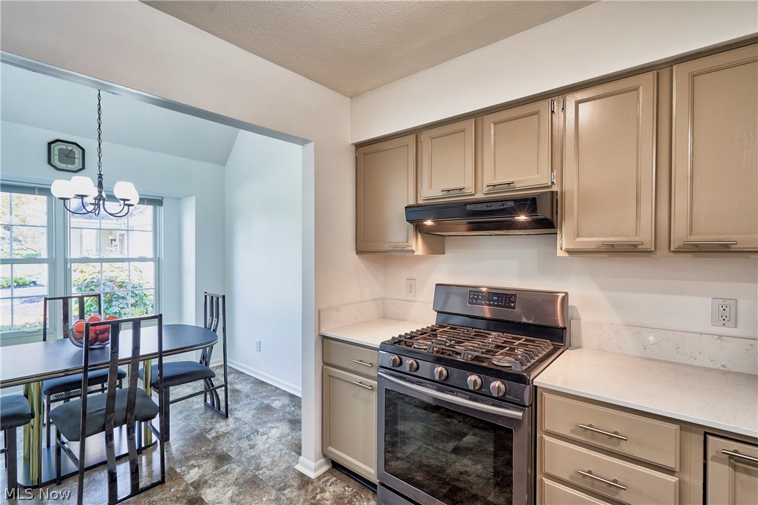 9607 E Idlewood Drive Twinsburg OH 44087