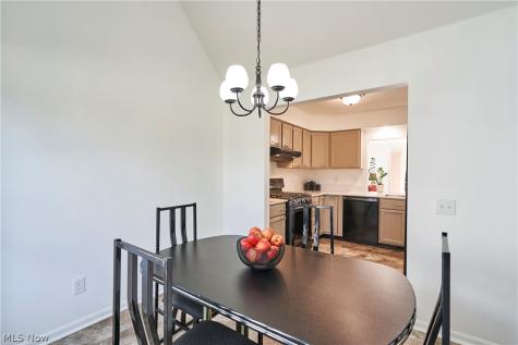 9607 E Idlewood Drive Twinsburg OH 44087