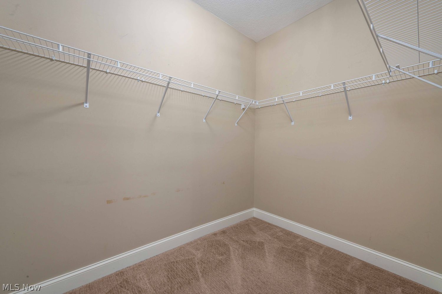 15 Mckinley Place Lakewood OH 44107