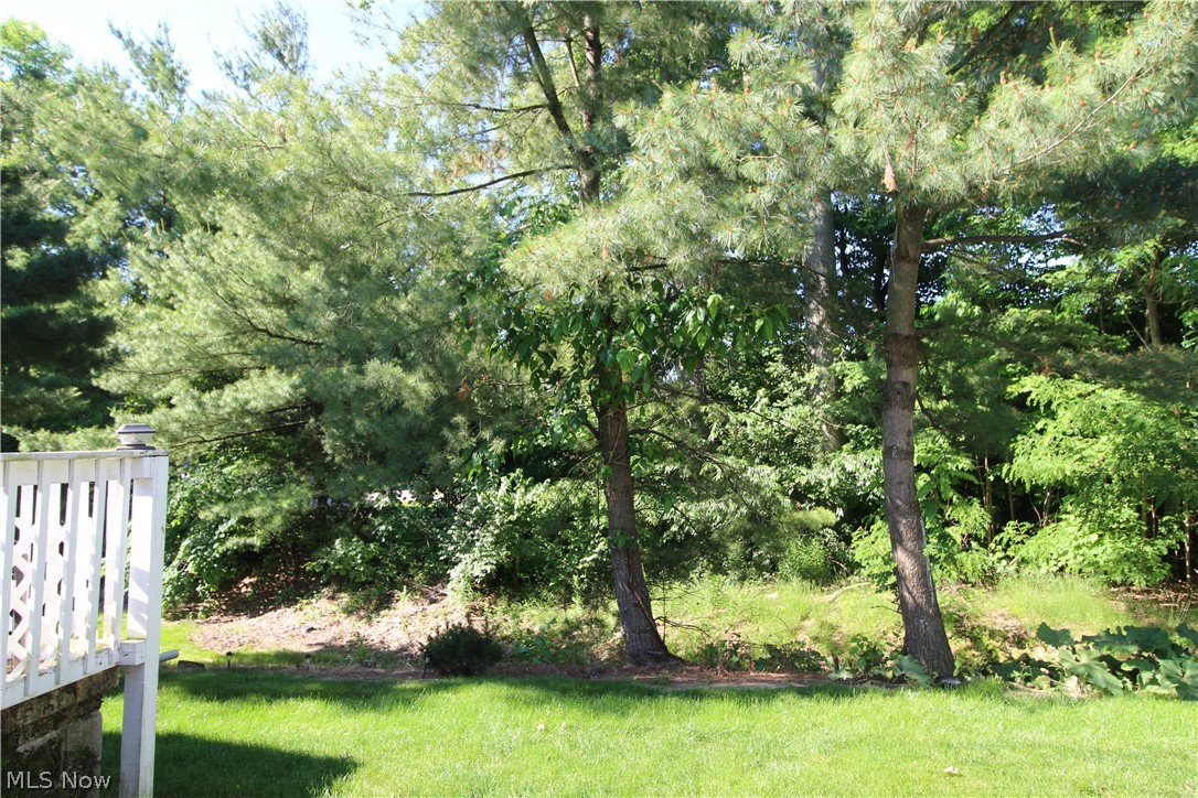 13 Hedgerows New Middletown OH 44442