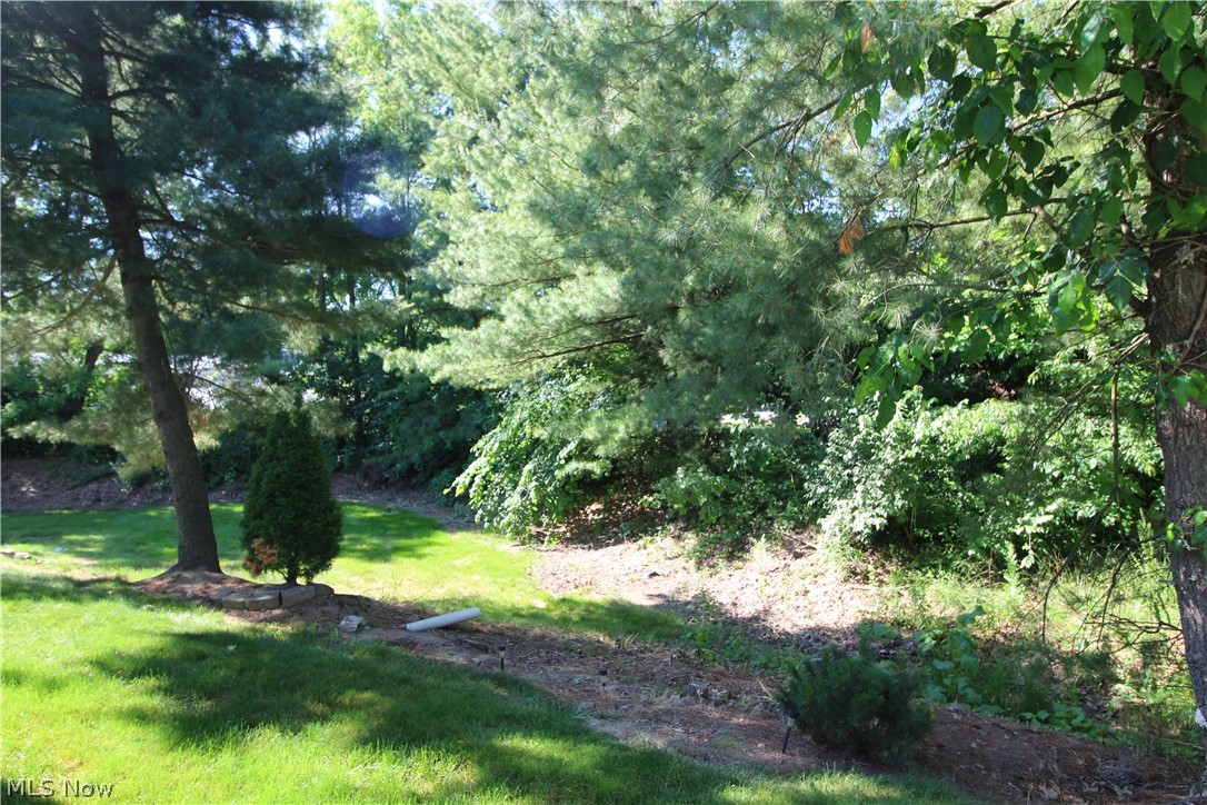 13 Hedgerows New Middletown OH 44442
