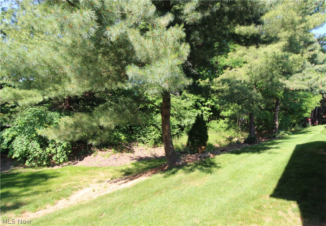 13 Hedgerows New Middletown OH 44442
