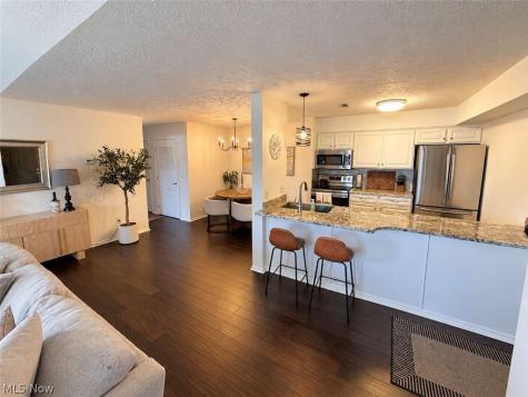 8609 Scenicview Drive Broadview Heights OH 44147