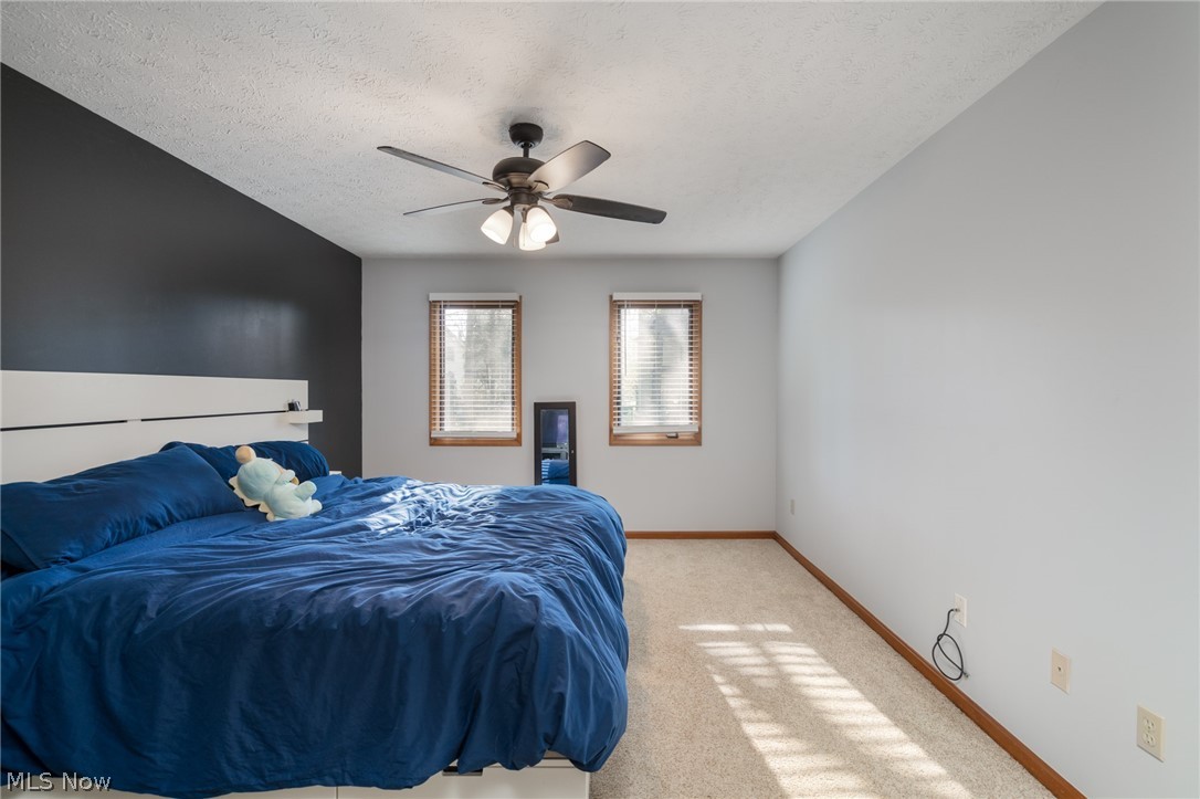 119 Ambleside Way Amherst OH 44001