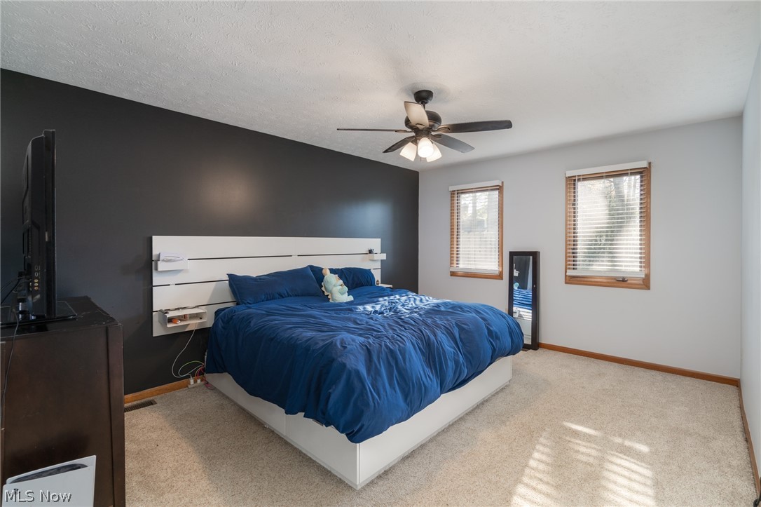 119 Ambleside Way Amherst OH 44001