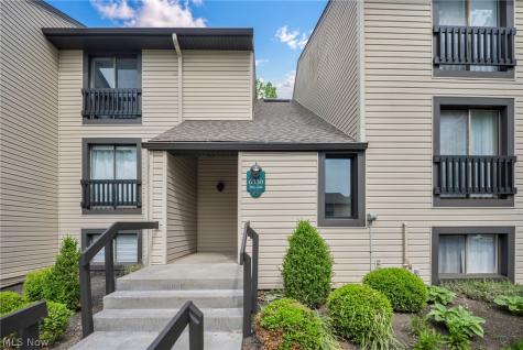 6330 Greenwood Northfield OH 44067