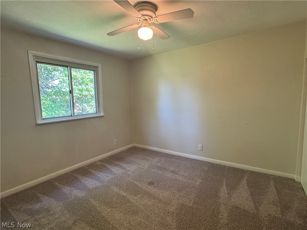 4393 Fairway Drive Cleveland OH 44135