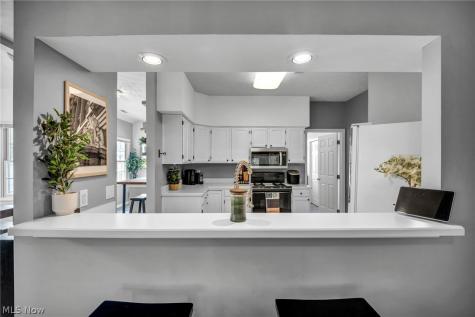 491 Eagle Trace Mayfield Heights OH 44124