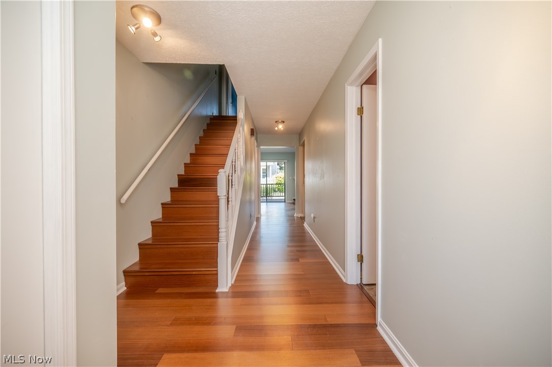 3730 Mercedes Place Canfield OH 44406