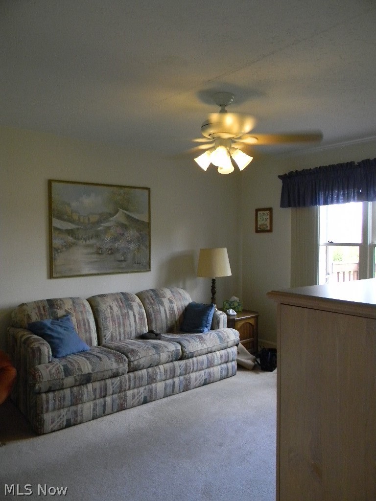 7291 Oakwood Drive Brookfield OH 44403