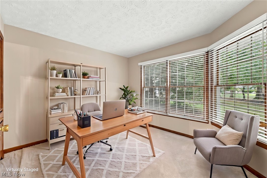 31825 Bayview Drive Avon Lake OH 44012