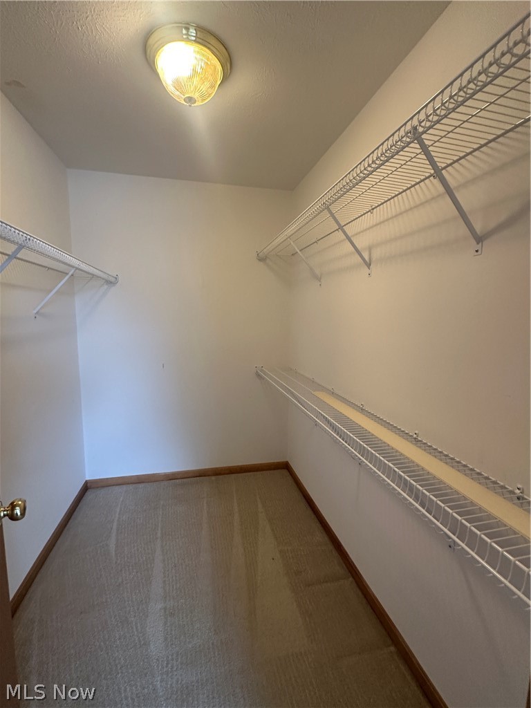 3337 Bayberry Cove Wooster OH 44691
