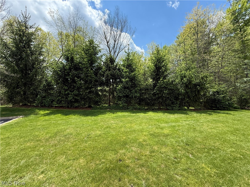 27 D Hunters Woods Drive Canfield OH 44406