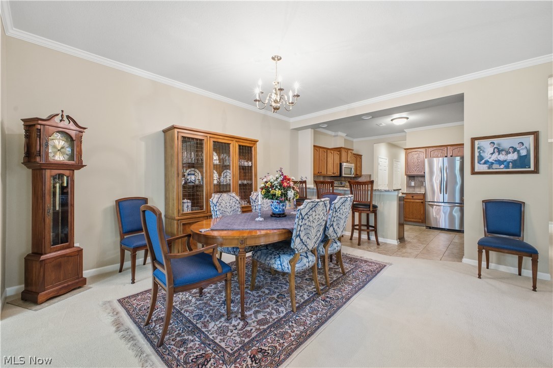 27 D Hunters Woods Drive Canfield OH 44406