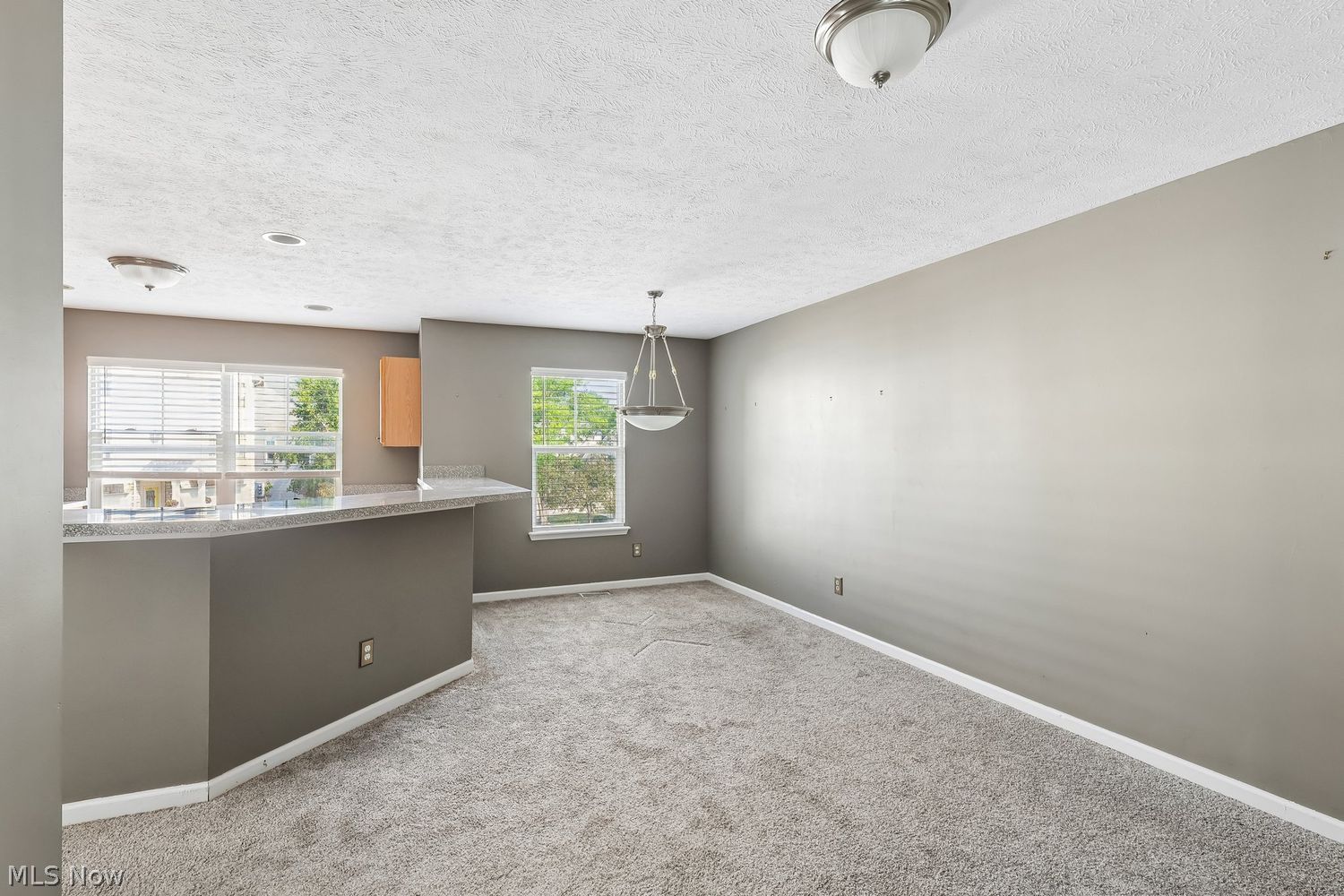 17633 Wildwood Lane Cleveland OH 44119