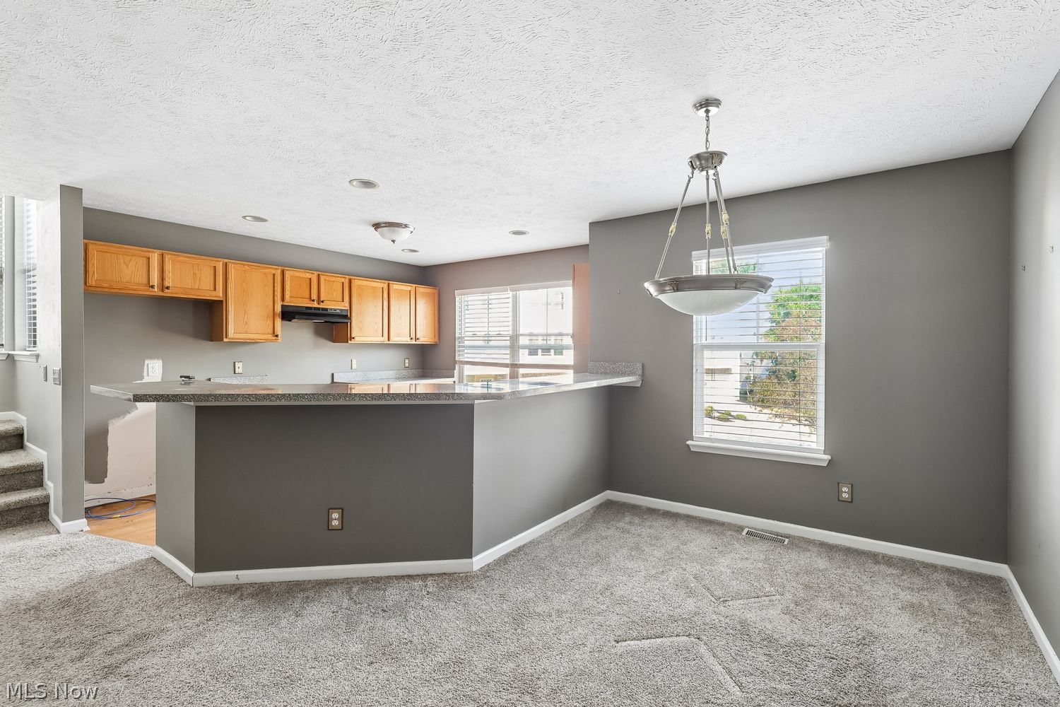 17633 Wildwood Lane Cleveland OH 44119