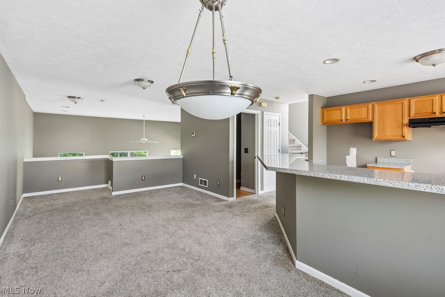 17633 Wildwood Lane Cleveland OH 44119