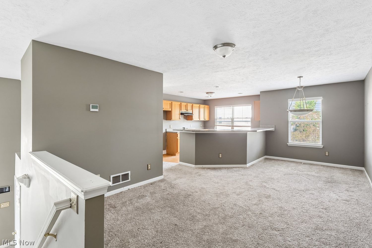 17633 Wildwood Lane Cleveland OH 44119