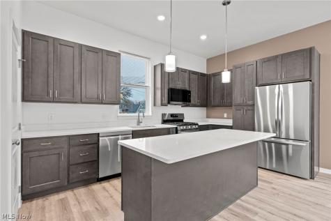 4703 Bridge Avenue Cleveland OH 44102
