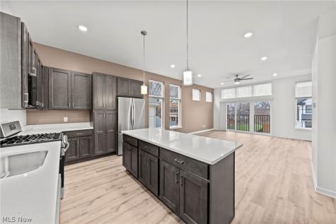 4703 Bridge Avenue Cleveland OH 44102
