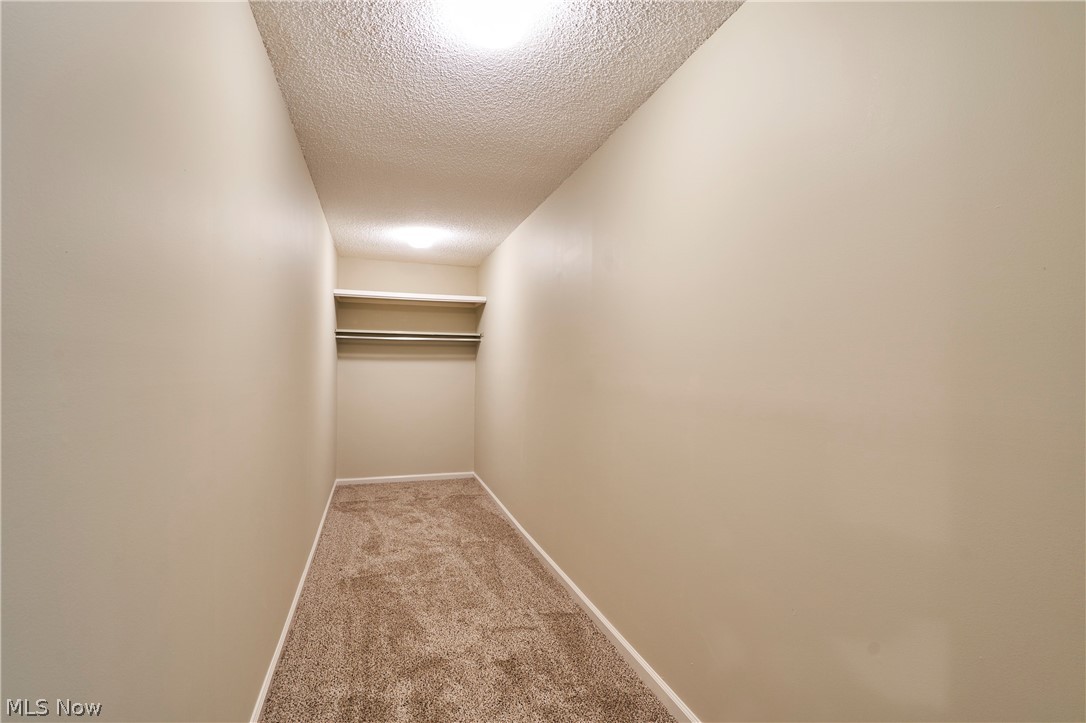 880 Hampton Ridge Drive Akron OH 44313