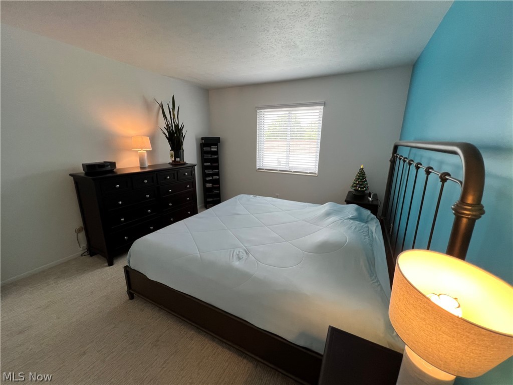 244 Deepwood Drive Wadsworth OH 44281