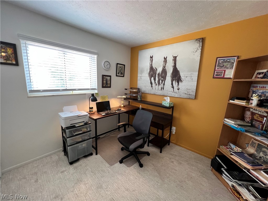 244 Deepwood Drive Wadsworth OH 44281