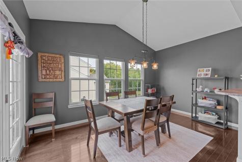 9837 Gabriels Way Mentor OH 44060