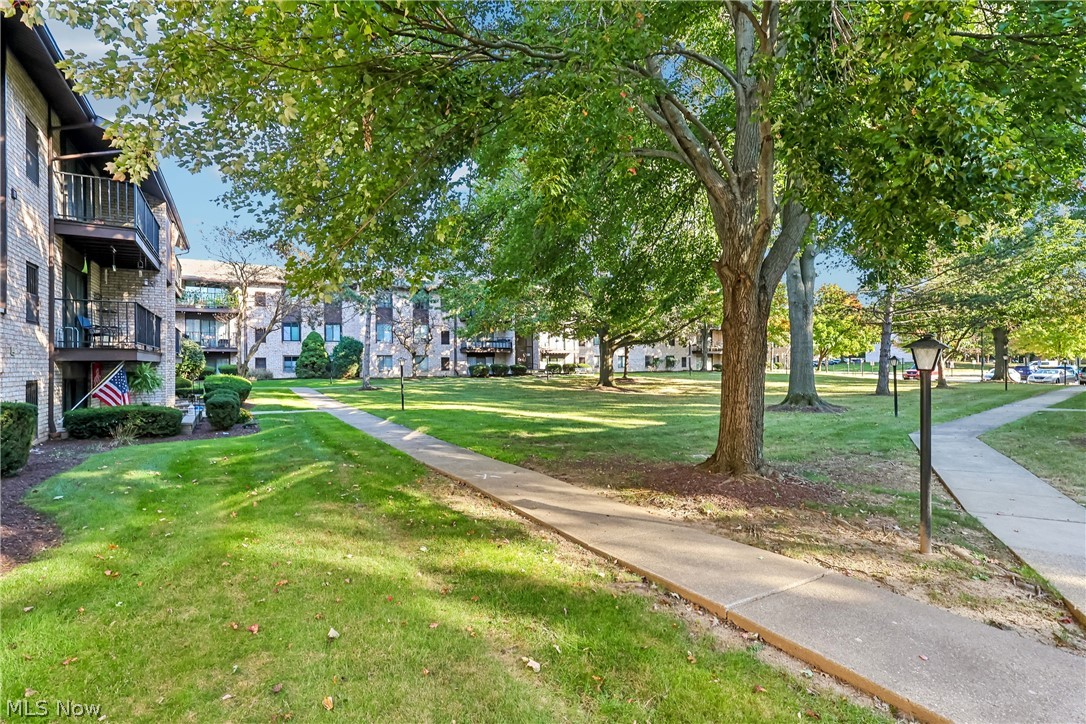 16410 Heather Lane Middleburg Heights OH 44130