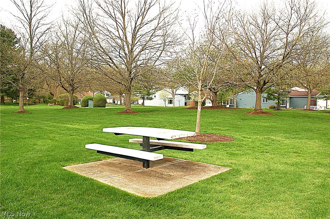 8867 Holly Lane Olmsted Falls OH 44138