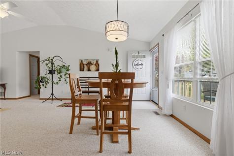 519 Heather Woods Drive Elyria OH 44035