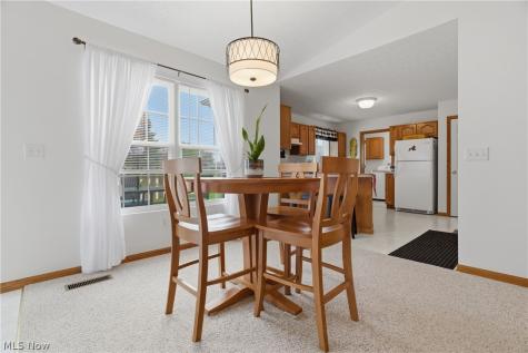 519 Heather Woods Drive Elyria OH 44035