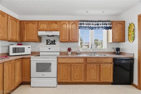 519 Heather Woods Drive Elyria OH 44035