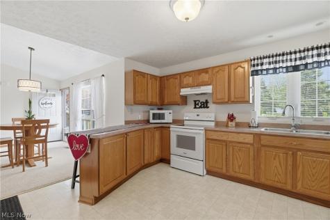 519 Heather Woods Drive Elyria OH 44035