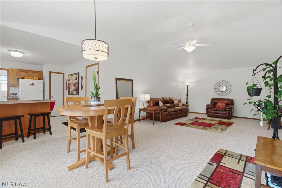 519 Heather Woods Drive Elyria OH 44035