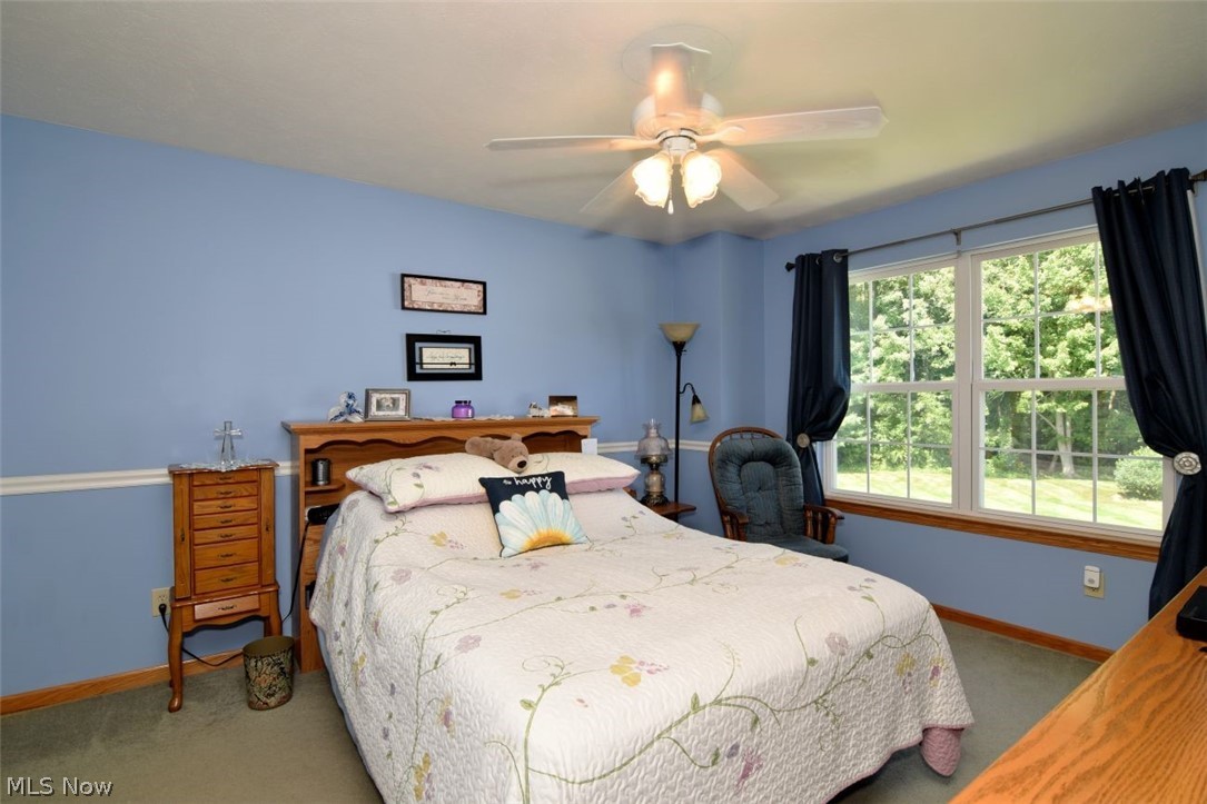 702 Jonquil Lane Madison OH 44057