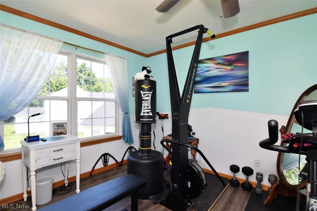 702 Jonquil Lane Madison OH 44057