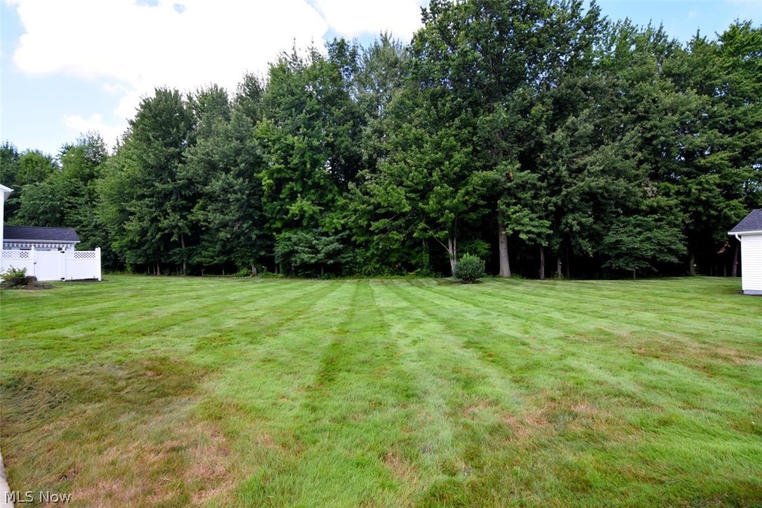 702 Jonquil Lane Madison OH 44057
