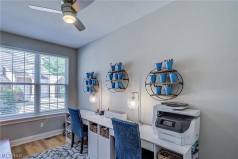 3455 Briar Ridge Court Westlake OH 44145