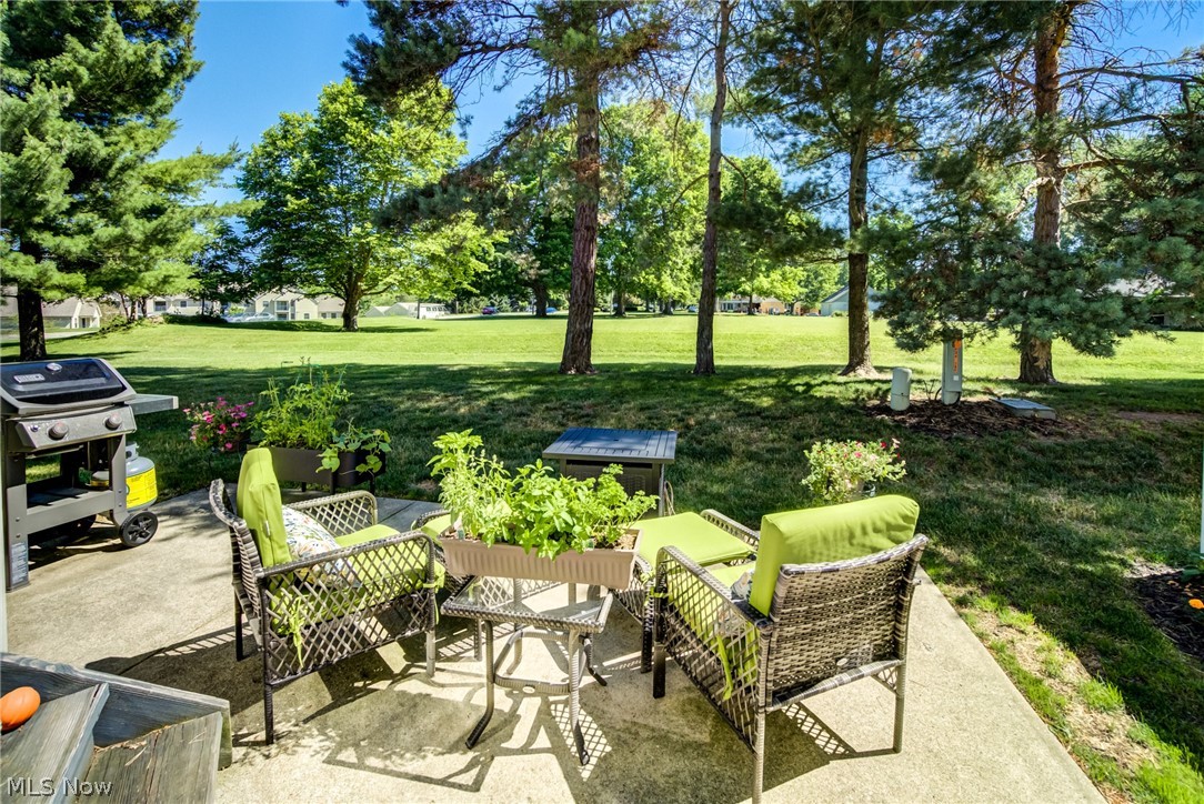 3455 Briar Ridge Court Westlake OH 44145