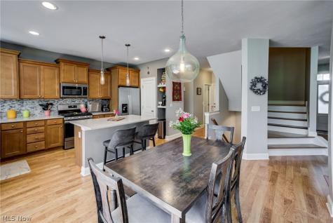 3455 Briar Ridge Court Westlake OH 44145