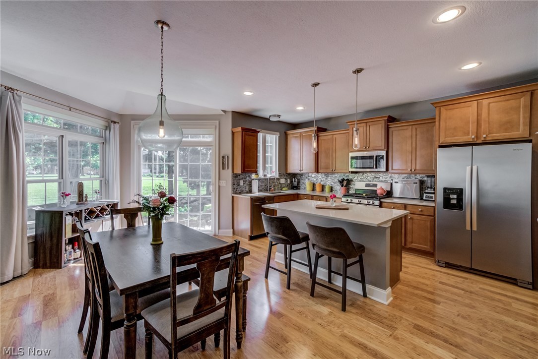3455 Briar Ridge Court Westlake OH 44145